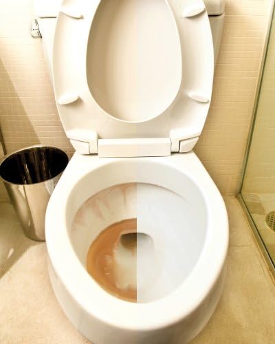 IRON OUT Automatic Toilet Cleaner Tablets 12 Count