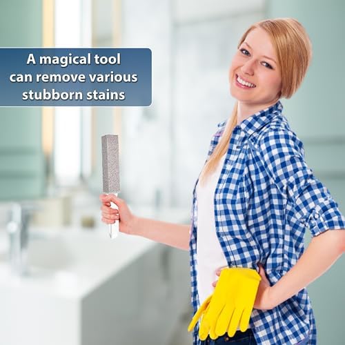 2 Pack Ring King Pumice Stone Toilet Cleaner with Handle