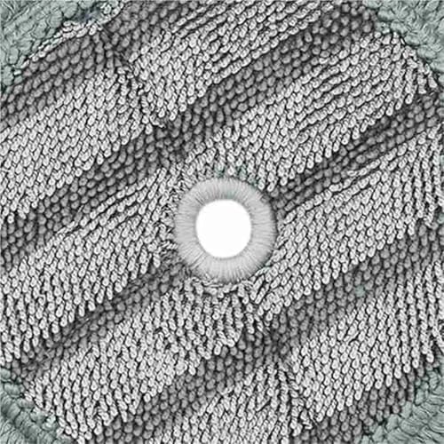 Vamarads Steam Mop Microfiber Pad Replacement