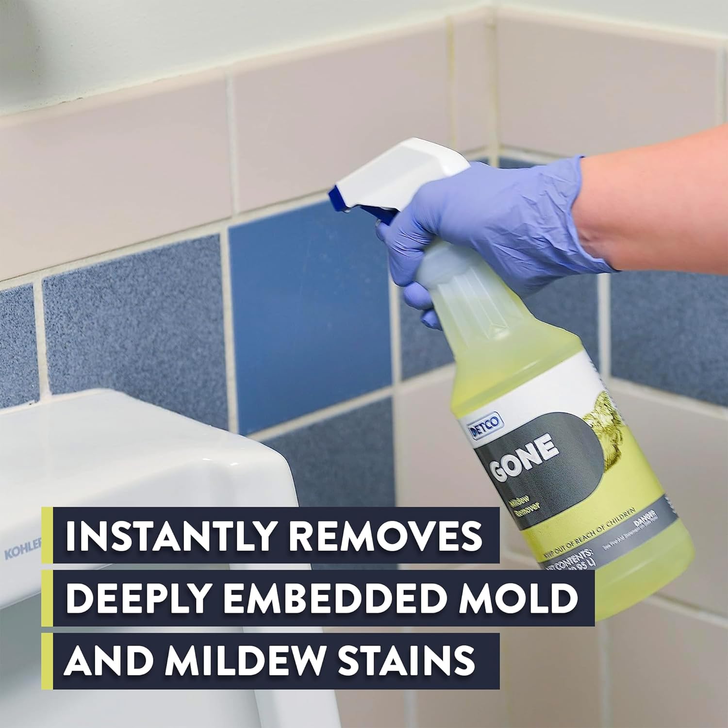 Detco GONE Mold Mildew Remover 1-Quart Spray